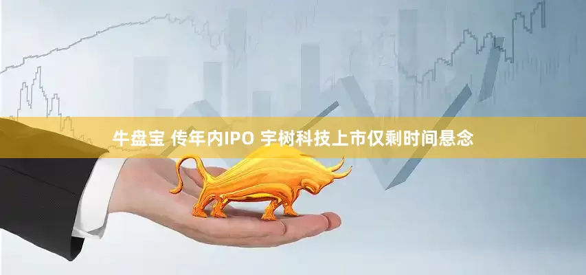 牛盘宝 传年内IPO 宇树科技上市仅剩时间悬念