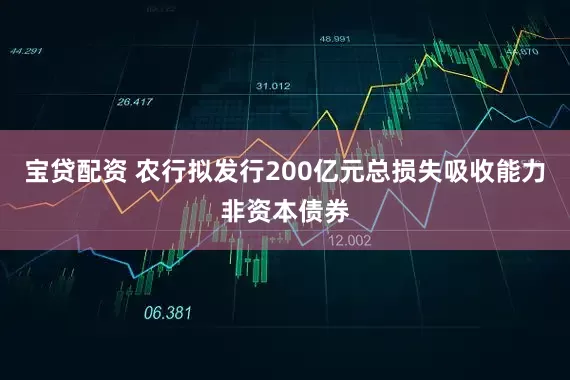 宝贷配资 农行拟发行200亿元总损失吸收能力非资本债券