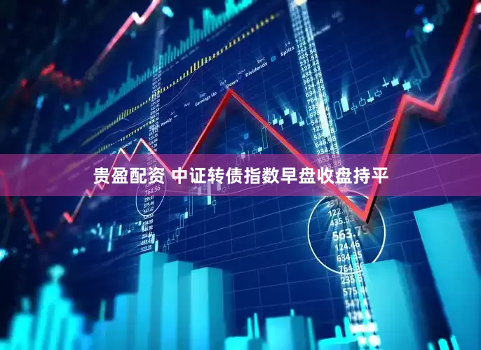 贵盈配资 中证转债指数早盘收盘持平