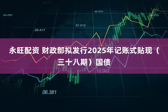 永旺配资 财政部拟发行2025年记账式贴现（三十八期）国债