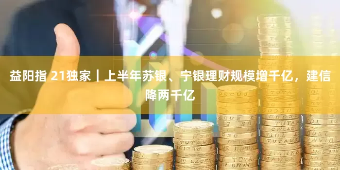 益阳指 21独家｜上半年苏银、宁银理财规模增千亿，建信降两千亿